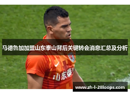 马德鲁加加盟山东泰山背后关键转会消息汇总及分析