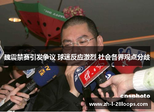 魏震禁赛引发争议 球迷反应激烈 社会各界观点分歧
