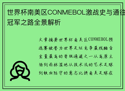 世界杯南美区CONMEBOL激战史与通往冠军之路全景解析